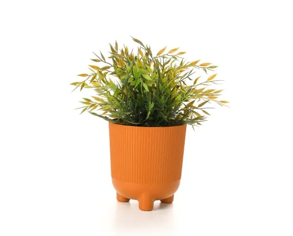 Foto de vaso de flor laranja